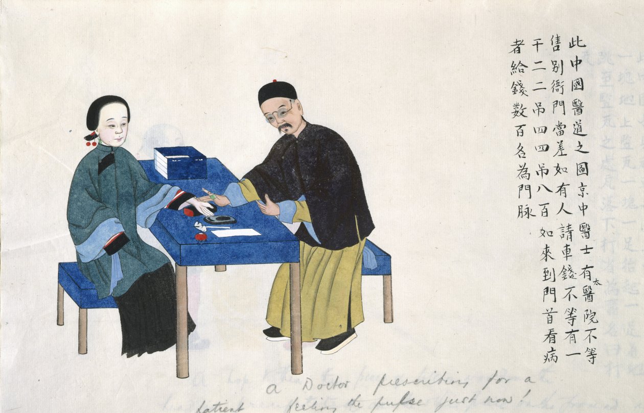 Lub 11539 fol.89v Na pulsie, z albumu scen z życia w Chinach (akwarela na papierze) autorstwa School Chinese