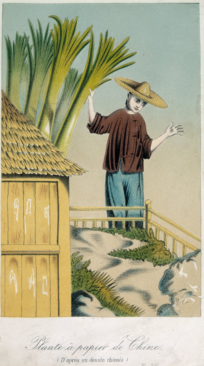 Chińska papiernia (kolor lito) autorstwa School Chinese