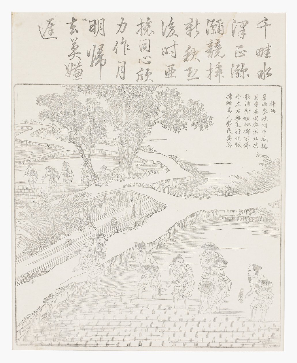 Sadzenie ryżu autorstwa School Chinese