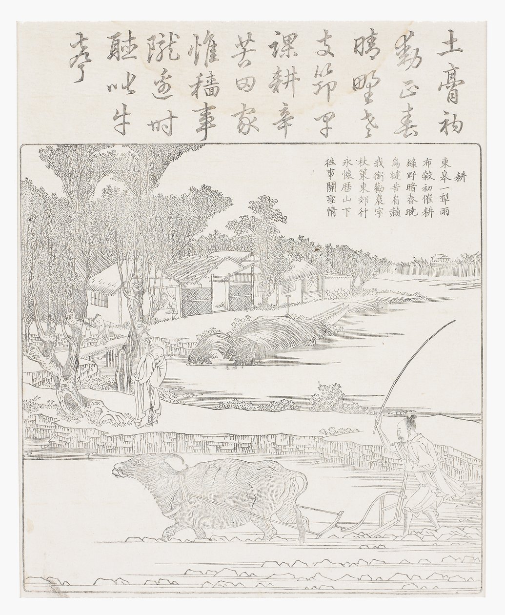 Orka bawołem wodnym w błotnistym ryżu niełuskany. autorstwa School Chinese
