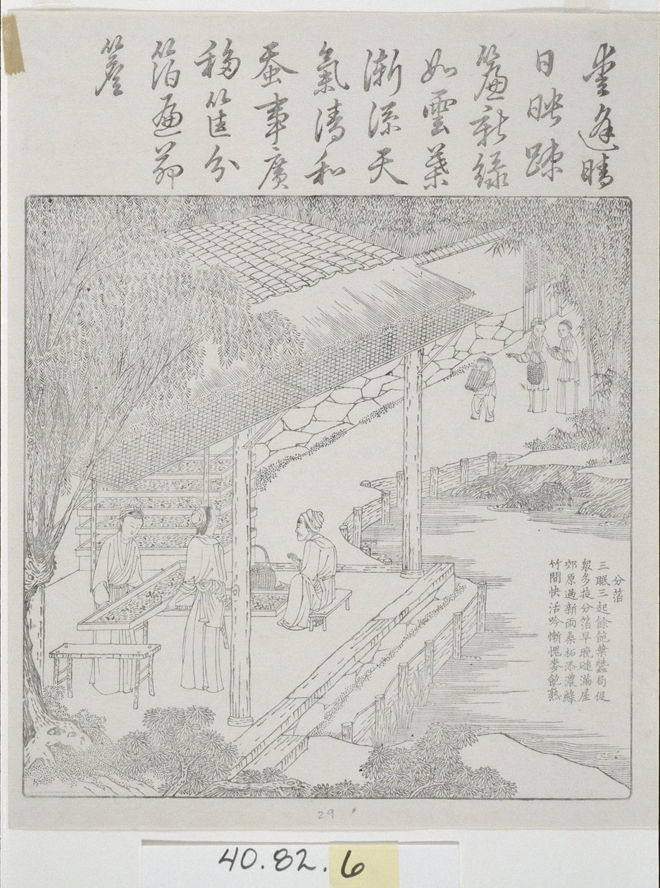 Zestaw drzeworytów Kultura jedwabiu autorstwa School Chinese