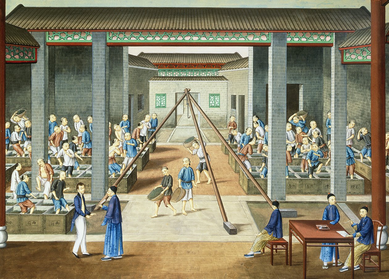 Kultura herbaty: ważenie i kupowanie herbaty (gwasz na papierze) autorstwa School Chinese