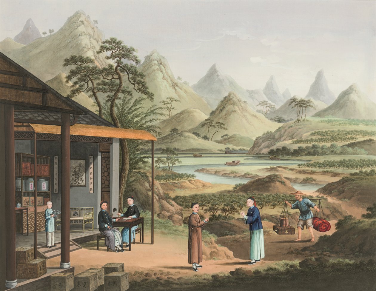 Produkcja herbaty, ok. 1820 (akwarela i złota farba na jedwabiu położonym na papierze) autorstwa School Chinese