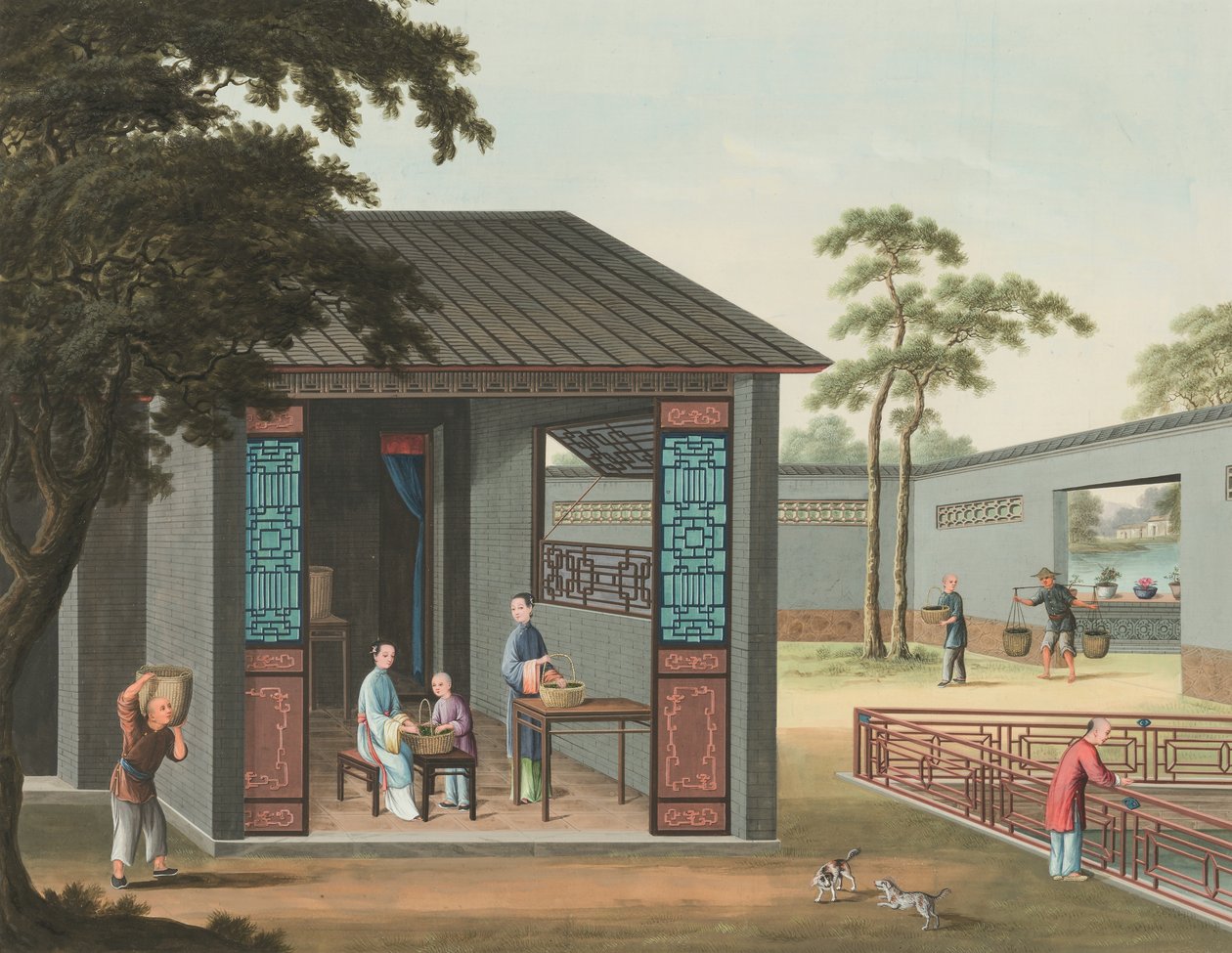 Produkcja herbaty, ok. 1820 (akwarela i złota farba na jedwabiu położonym na papierze) autorstwa School Chinese