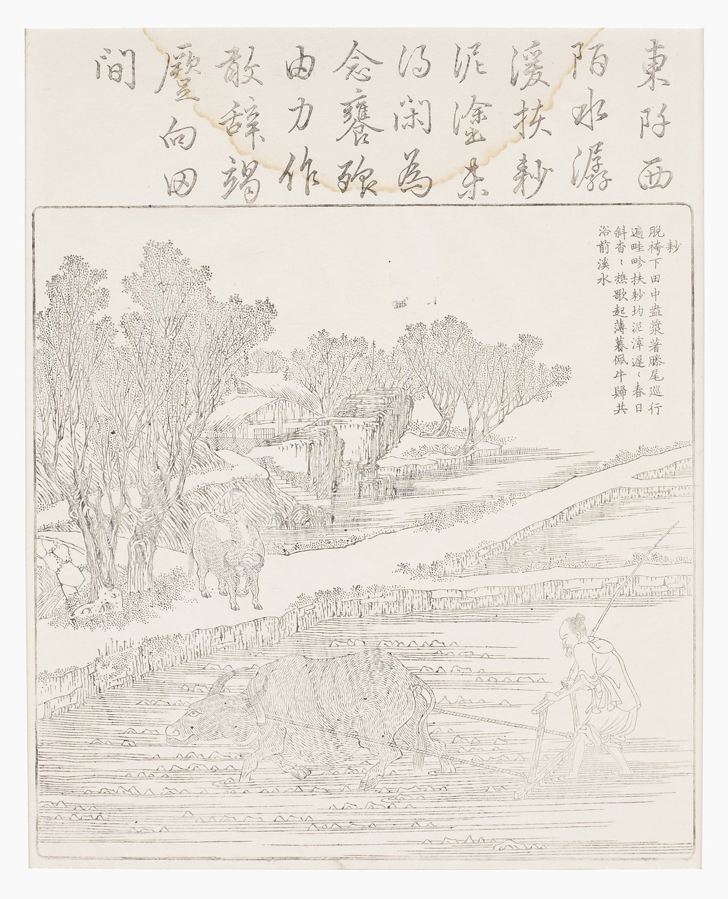 Uprawa pola ryżowego przy suchej pogodzie autorstwa School Chinese
