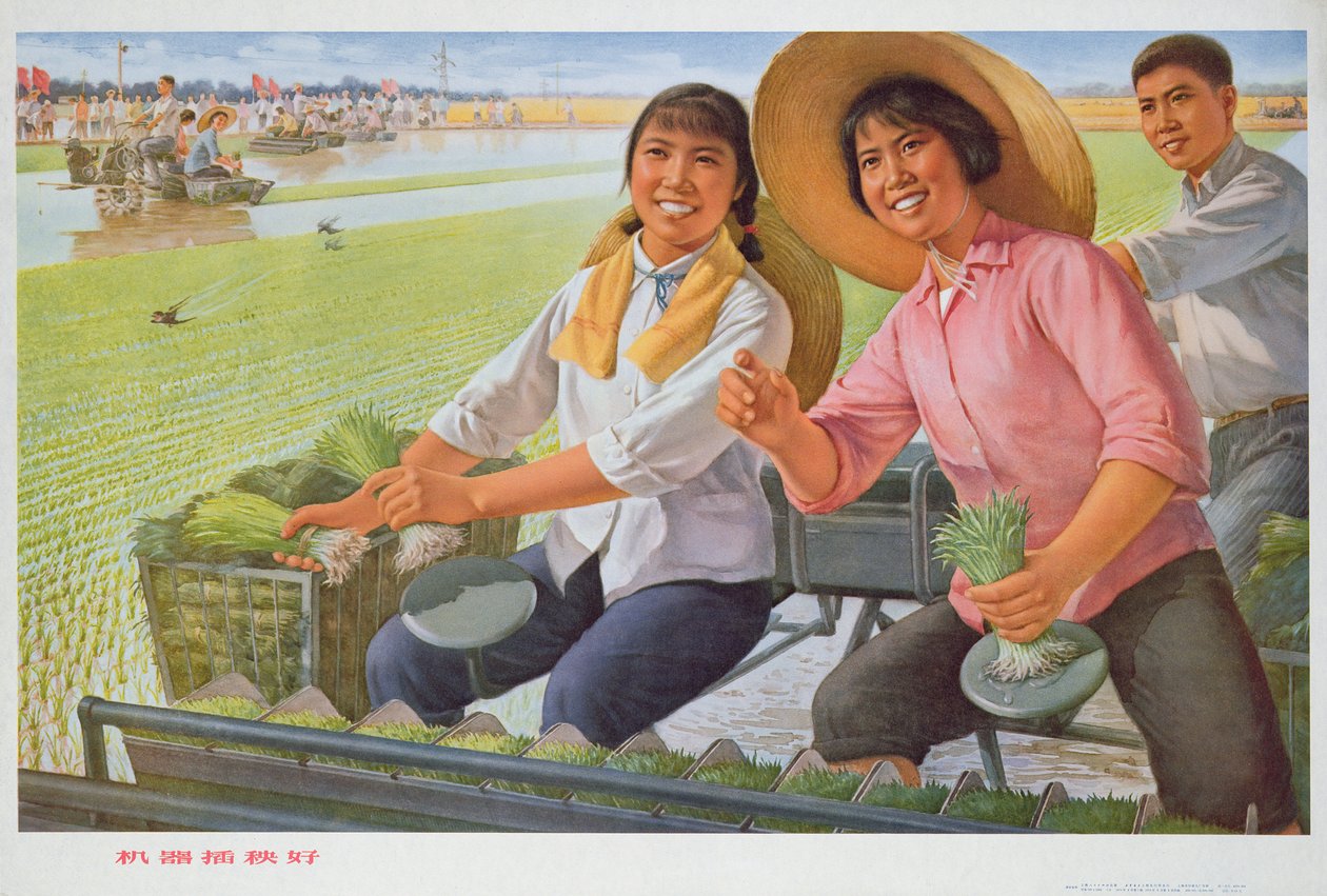 Przesadzanie sadzonek za pomocą maszyny jest dobre, plakat propagandowy z czasów chińskiej rewolucji kulturalnej autorstwa School Chinese