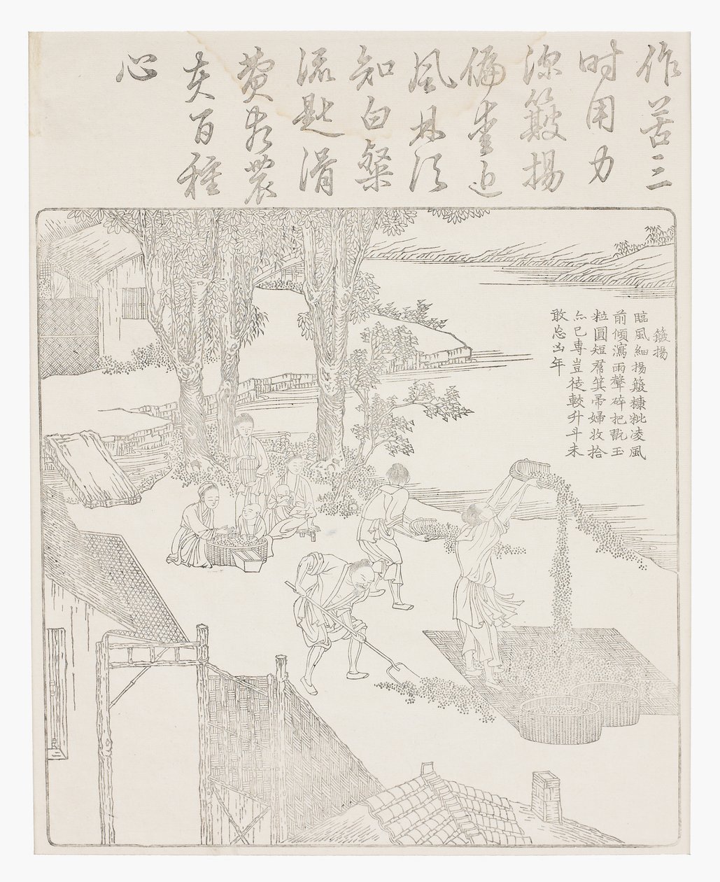 Przesiewanie ryżu autorstwa School Chinese