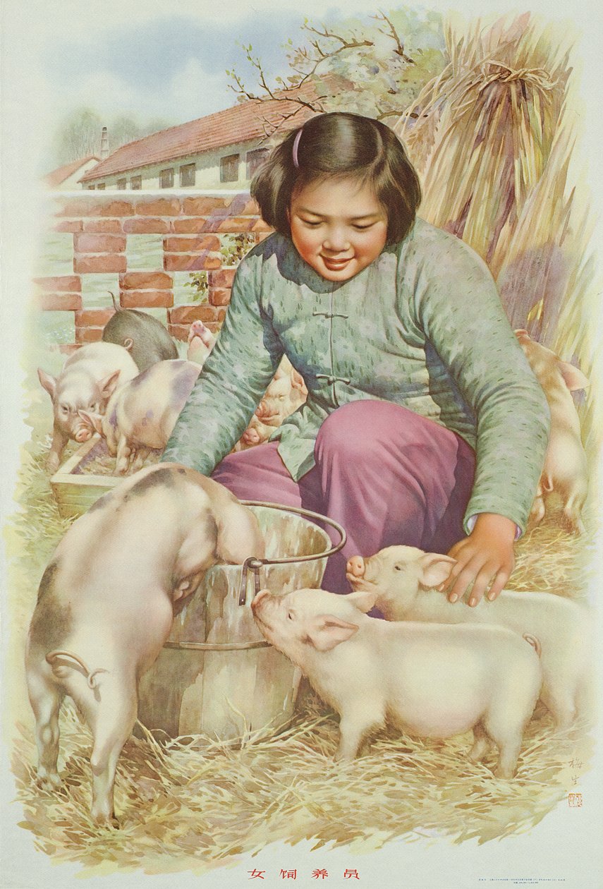 Kobieta-hodowca świń (lub osoba zajmująca się hodowlą świń), plakat propagandowy z czasów chińskiej rewolucji kulturalnej (kolorowa litografia) autorstwa School Chinese