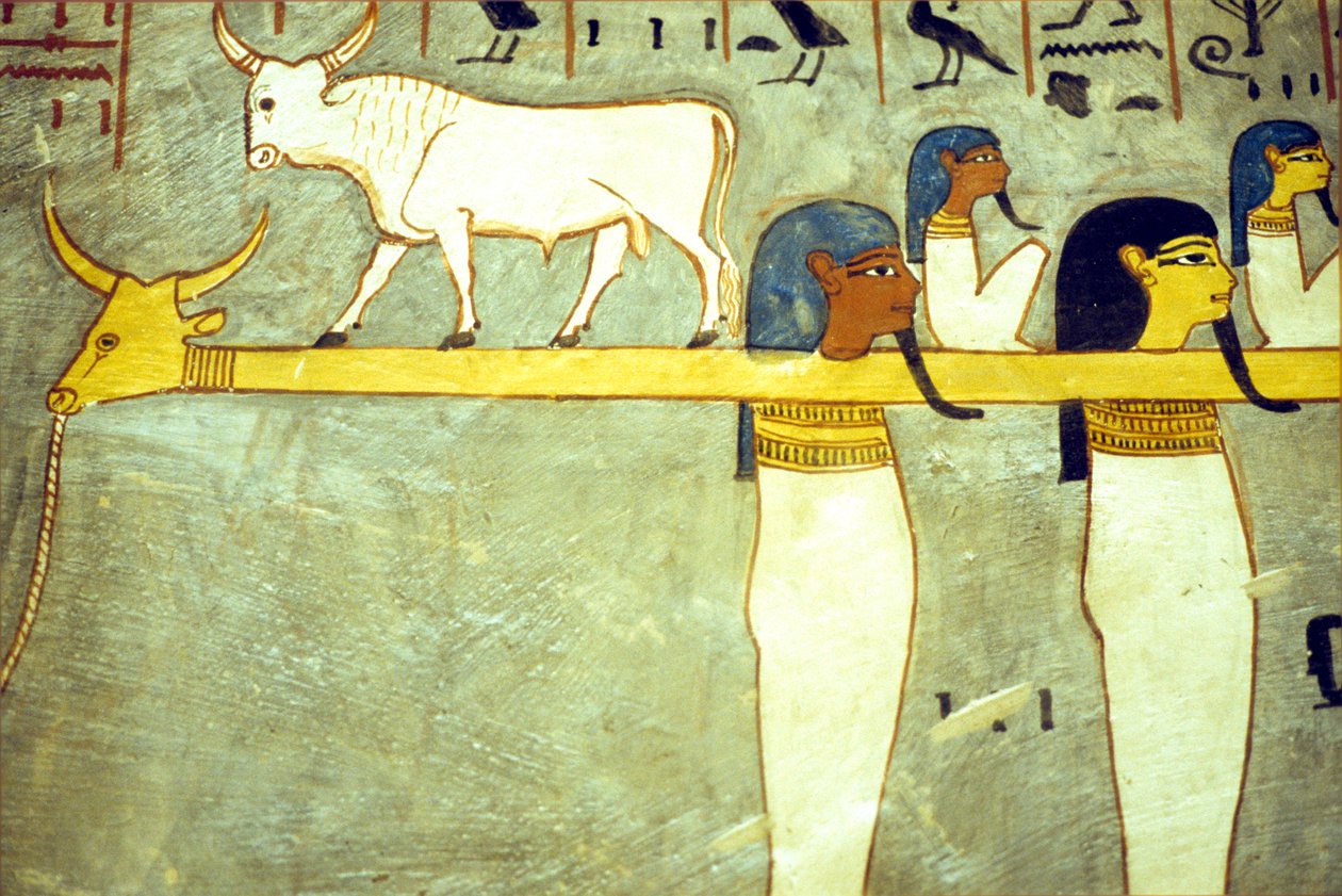 Starożytny Egipt, Malarstwo, Bogowie podziemi przywiązani do Hathor, boska krowa, holowanie barki słonecznej, Grobowiec Ramzesa I, Teby autorstwa School Egyptian