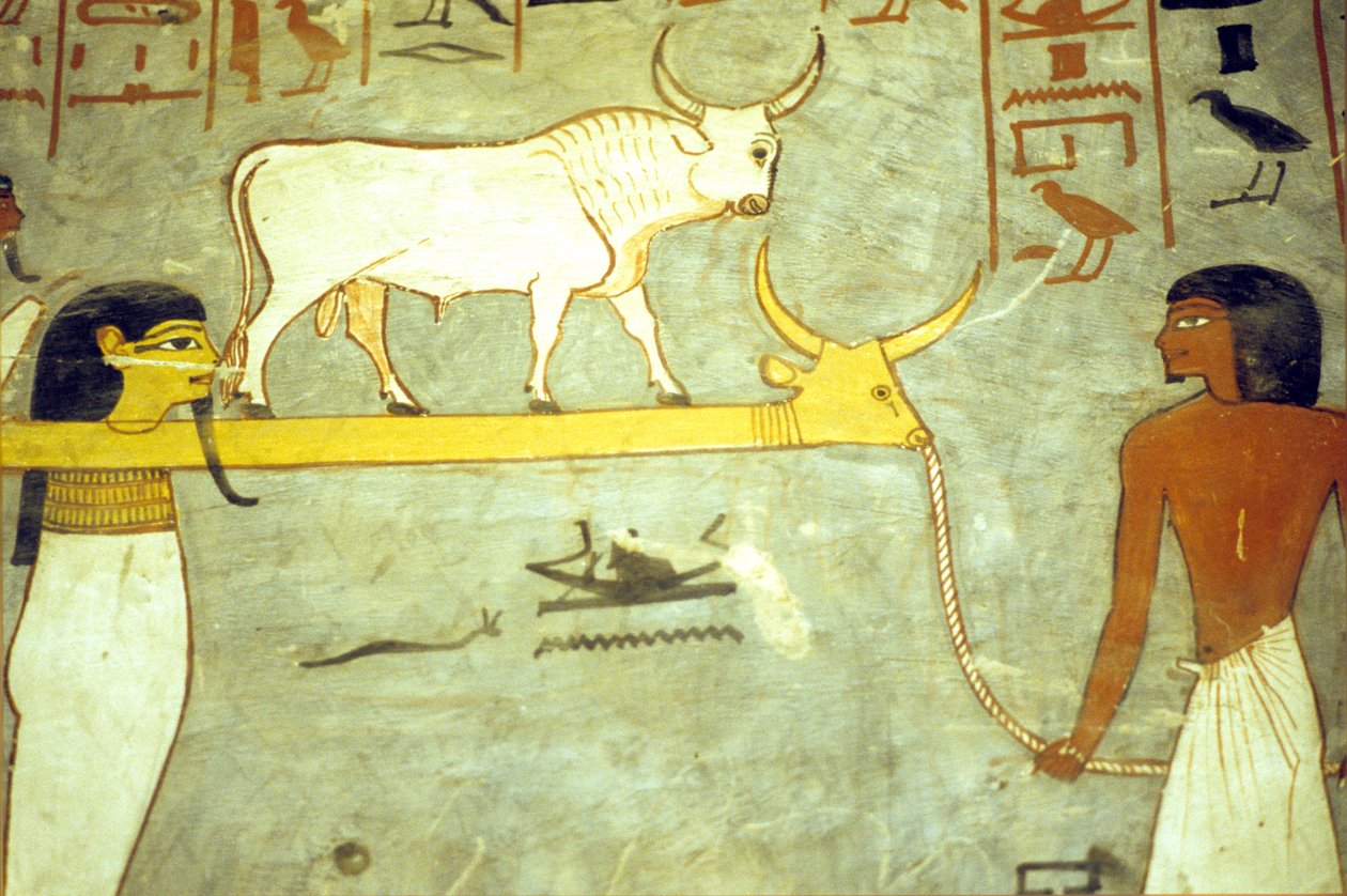 Starożytny Egipt, malarstwo, grobowiec Ramzesa I, bogowie podziemi przywiązani do Hathor, holowanie barki solarnej autorstwa School Egyptian