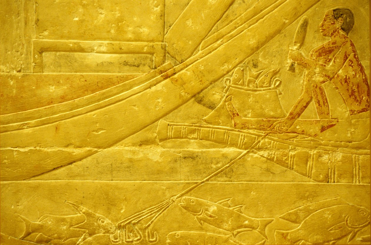 Muinainen Egypti, Seinien kaiverrus/maalaus, Mastaba/Idoutin hauta, Saqqara, 2323-2150 eKr., Kalastaja, joka suippaa kaloja ja pitelee nelihaaraista keihää (valokuva)kiillotusta autorstwa School Egyptian