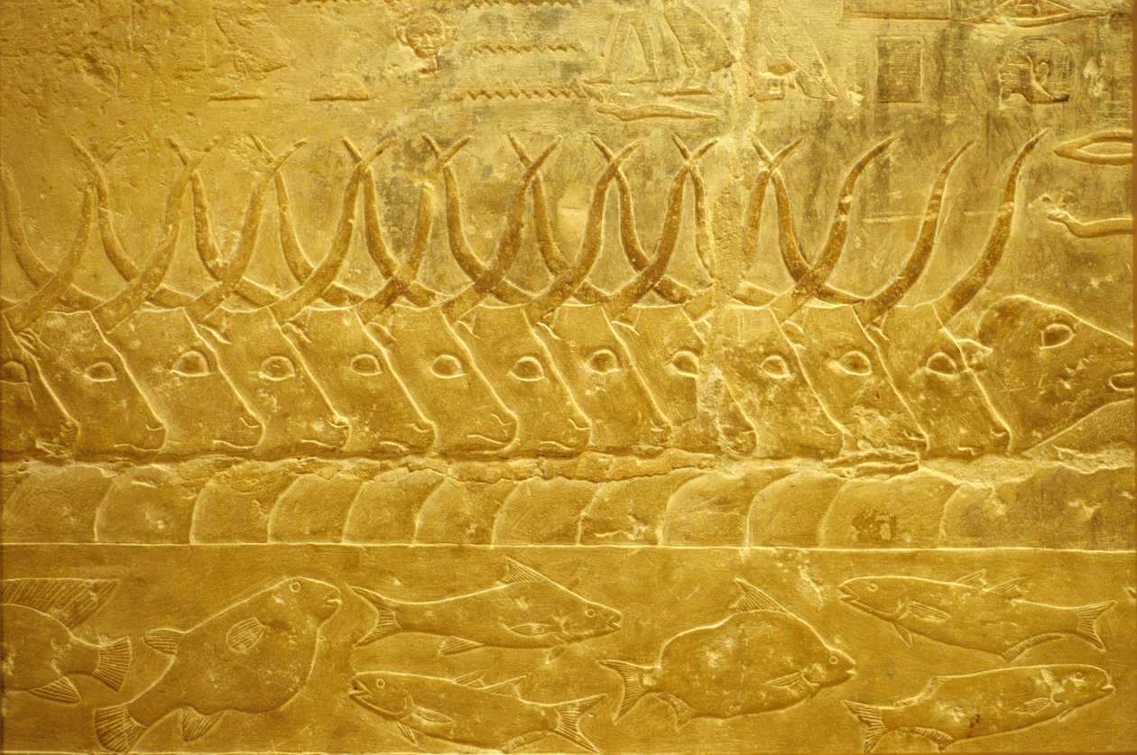 Starożytny Egipt, Rzeźba/malarstwo ścienne, Mastaba/Grobowiec Idout, Sakkara, 2323-2150 p.n.e., Bydło na rzece (zdjęcie) autorstwa School Egyptian
