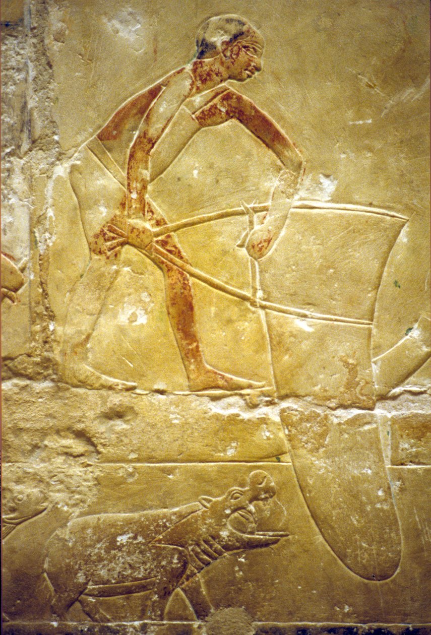 Starożytny Egipt, Rzeźba/malarstwo ścienne, Mastaba/Grobowiec Idout, Sakkara, 6. dynastia, Łowienie ryb siecią pułapkową, Hipopotam (zdjęcie ilustracyjne) autorstwa School Egyptian