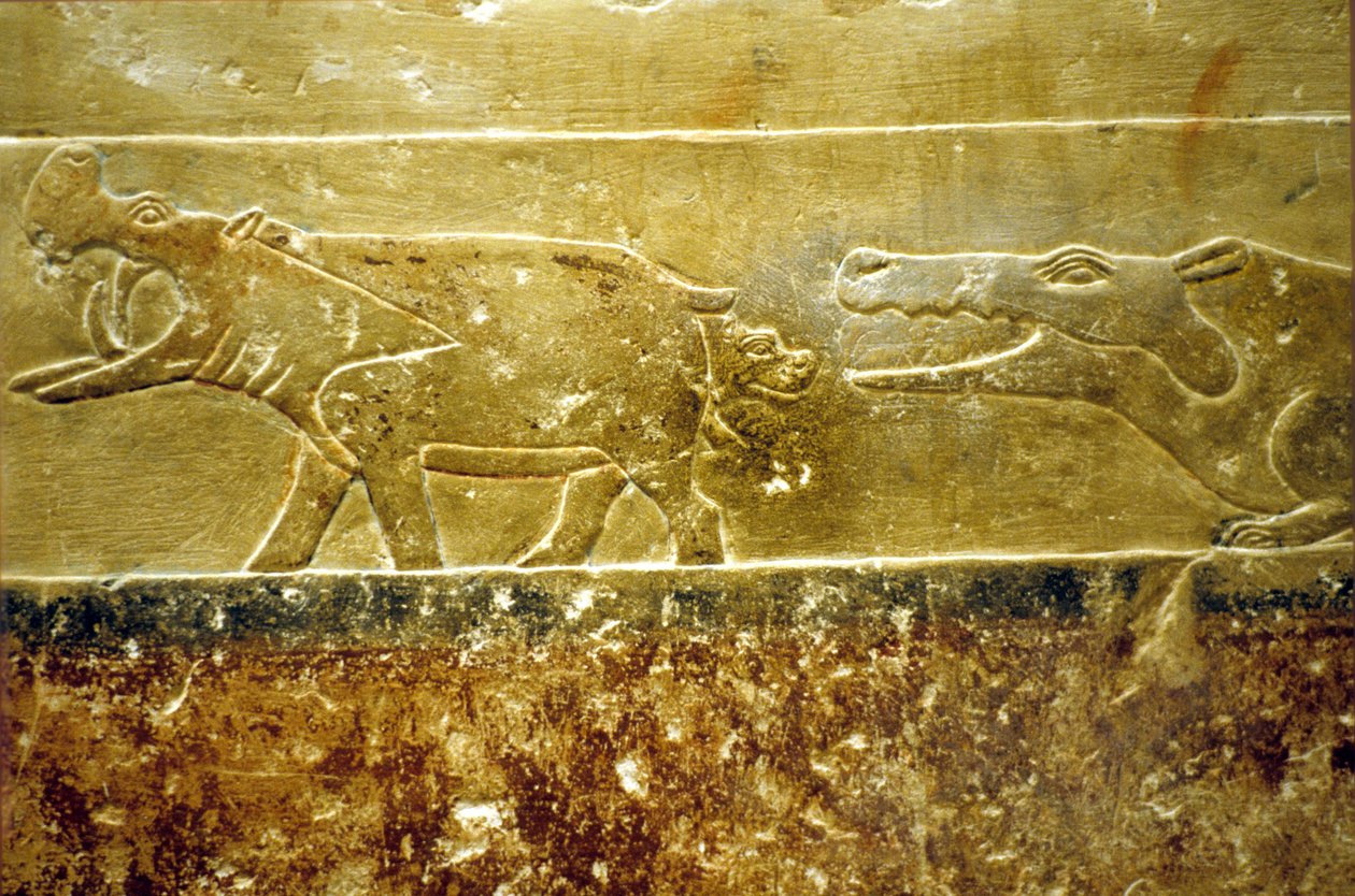 Starożytny Egipt, malowidła ścienne, mastaba/grobowiec Idout, Sakkara, VI dynastia Hipopotam rodzi i pada ofiarą czekającego krokodyla (zdjęcie) autorstwa School Egyptian