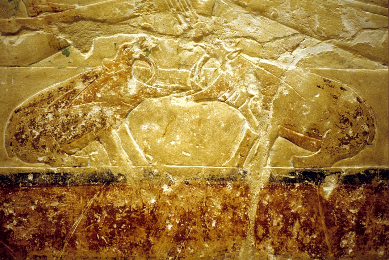 Starożytny Egipt, Rzeźba/malarstwo ścienne, Mastaba/Grobowiec Idout, Sakkara, 6. dynastia, Dwa walczące hipopotamy (zdjęcie) autorstwa School Egyptian