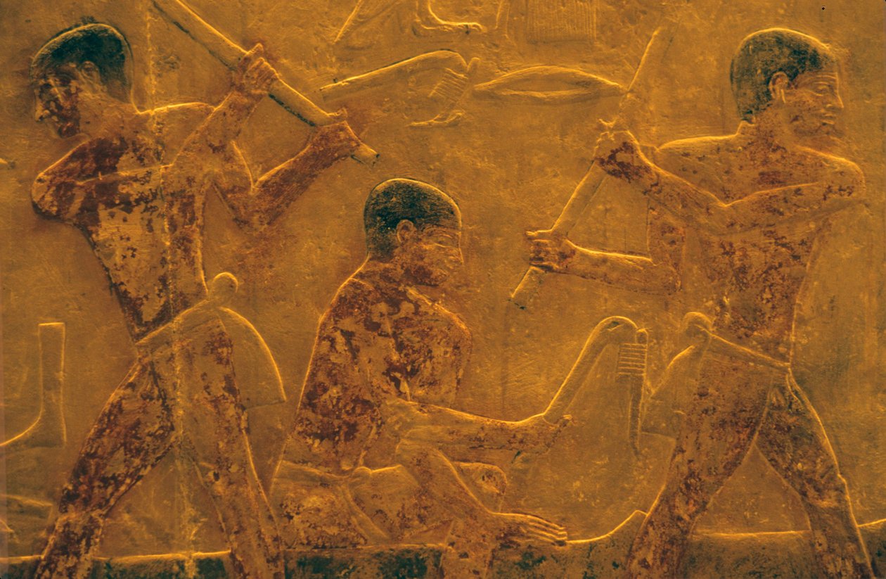 Starożytny Egipt, Rzeźba/malarstwo ścienne, Mastaba/Grobowiec Ti, Sakkara, 5. dynastia, Budownictwo okrętowe (zdjęcie) autorstwa School Egyptian