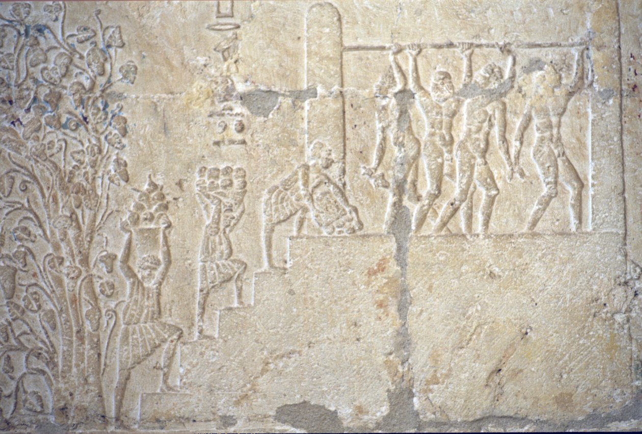 Muinainen Egypti, Seinien kaiverrus/maalaus, Petosiriksen hauta, Tuna el Gebel, 300 eKr., Viininkorjuu, Viinin valmistus, Viinipuristin (valokuva) kiillotus autorstwa School Egyptian