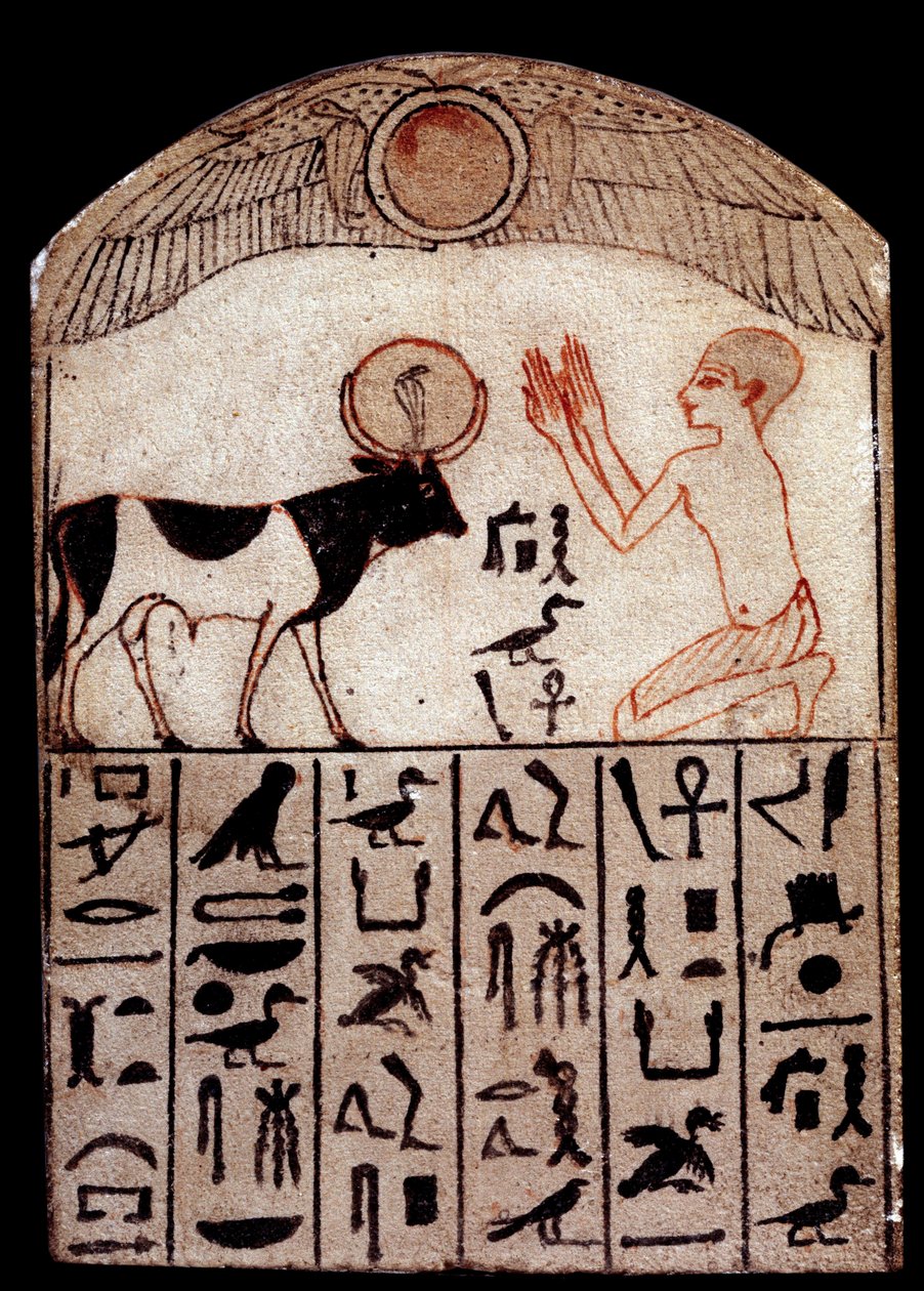 Sztuka antyczna: Stela Serapeum (malowany wapień). Adoracja Boga Apis. Malowana rzeźba wapienna, niski okres (664-332 pne), Egipt. Paryż, Musee du Louvre autorstwa School Egyptian