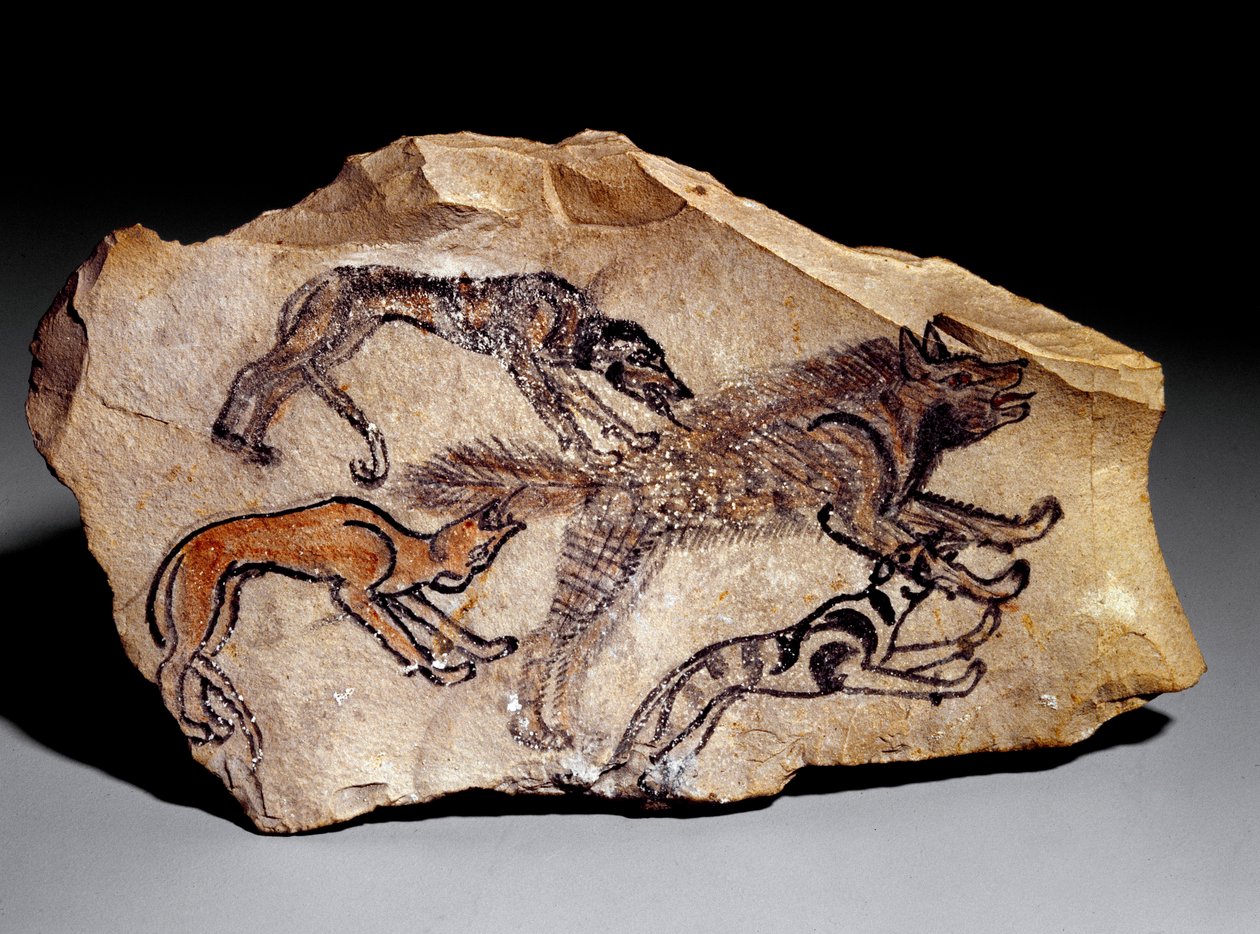 Psy polujące na hieny (Grawerowanie w kamieniu, ok.1300-1100 pne) autorstwa School Egyptian