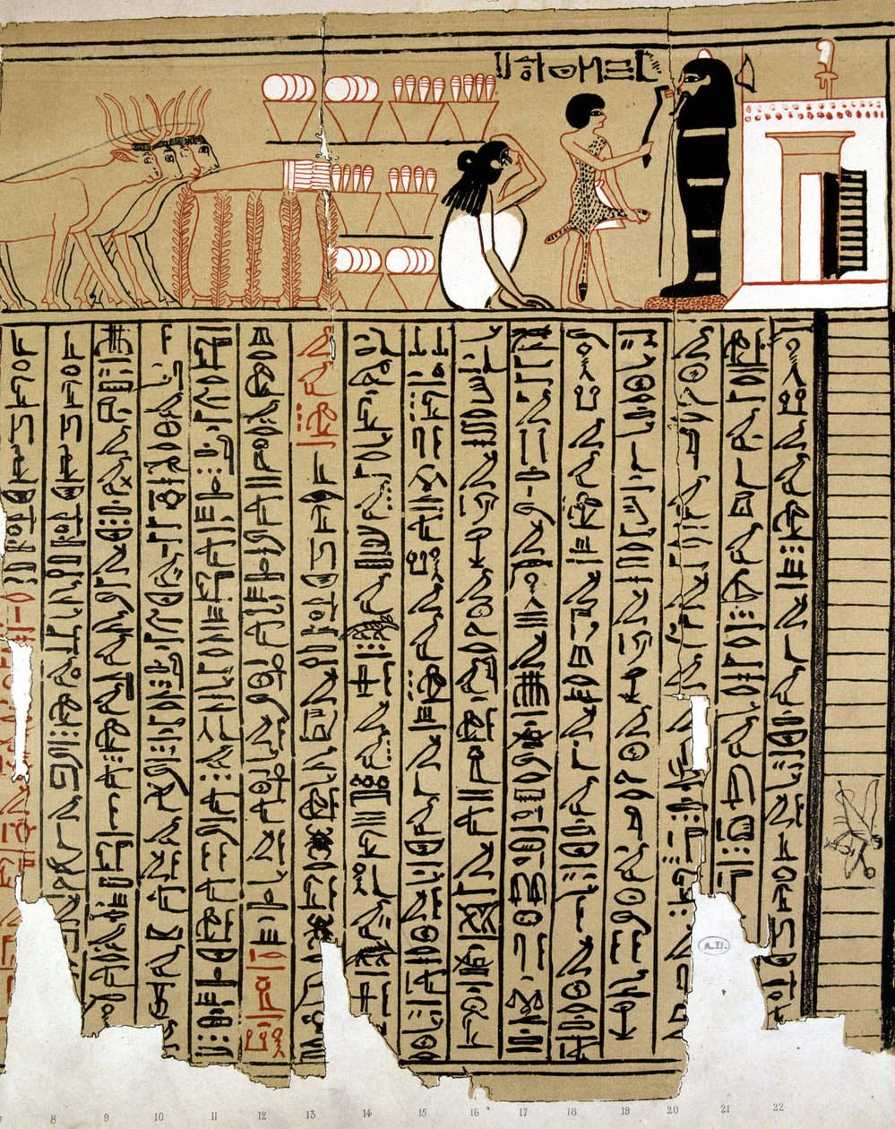 Hieroglify egipskie autorstwa School Egyptian
