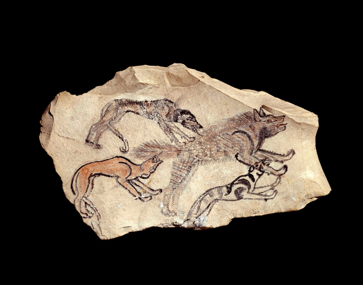 Starożytność egipska: ostrakon (lub ostracon) (liczba mnoga: ostraca lub ostraka) (ceramika) w wapieniu przedstawiająca trzy psy polujące na hienę. 1300-1070 pne. Słońce. 0,15x0,08 m Od Deir el Medineh. Paryż, Luwr autorstwa School Egyptian