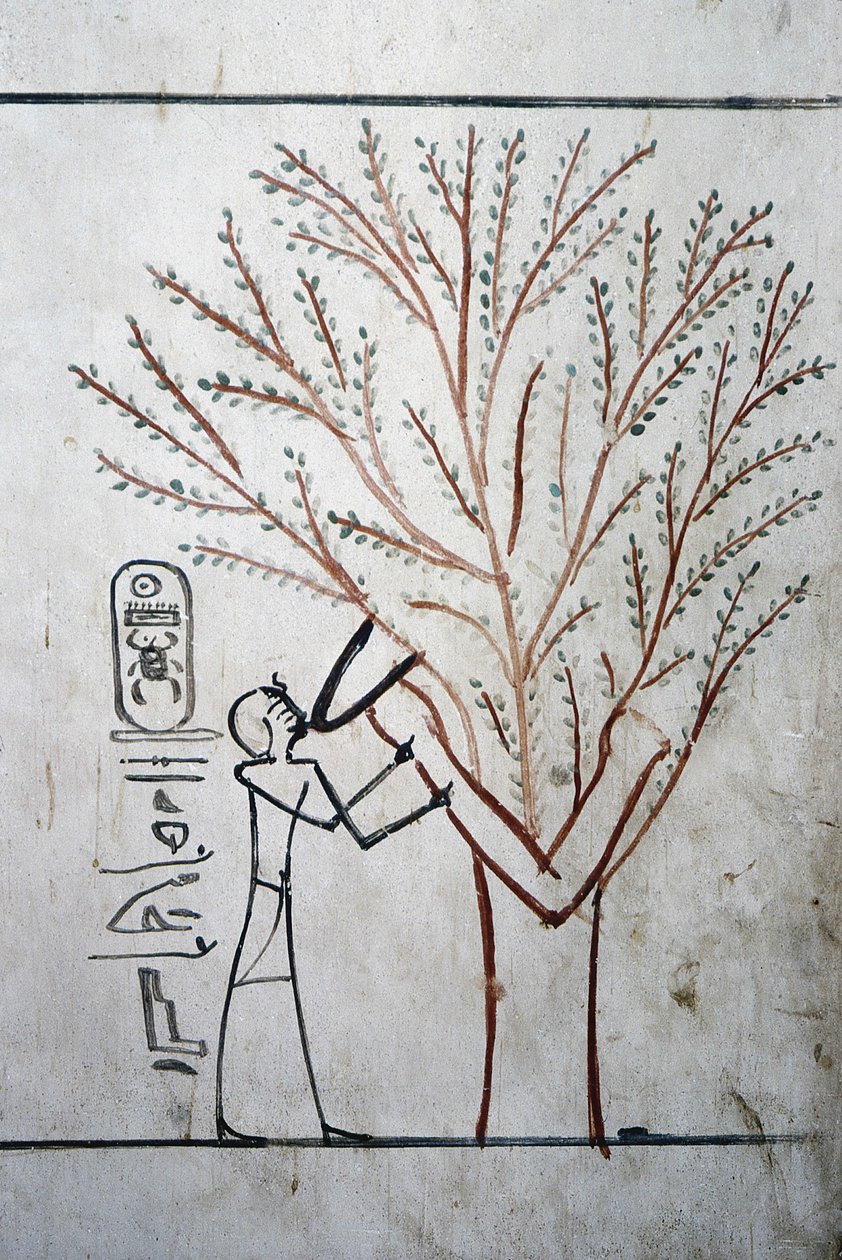 Luksor, Teby: Dolina Królów. Grób Totmesa (Totmesa lub Tutmesa) III (-1504 - -1450), faraona Egiptu. autorstwa School Egyptian