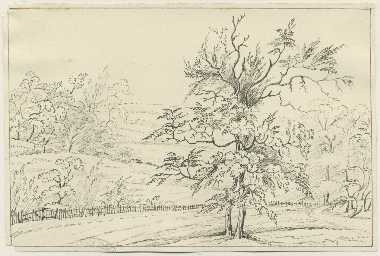 Cannock Chase: rysunek długopisem i ołówkiem, bd [?XIX w.] (rysunek) autorstwa School English