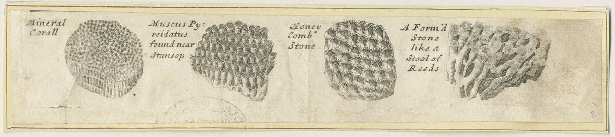 Dovedale - Mineral Coral: miedzioryt i [?XIX w.] (druk) autorstwa School English