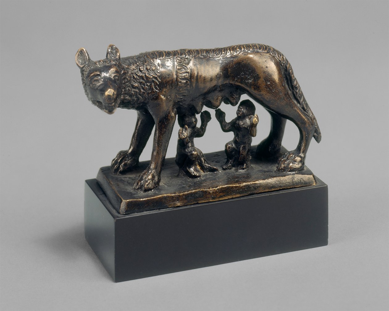 Romulus i Remus wyssani przez wilczycę autorstwa School Florentine
