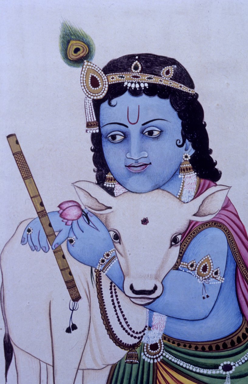 Pan Bal Kryszna z krową w miniaturze namalowanej na papierze autorstwa School Indian