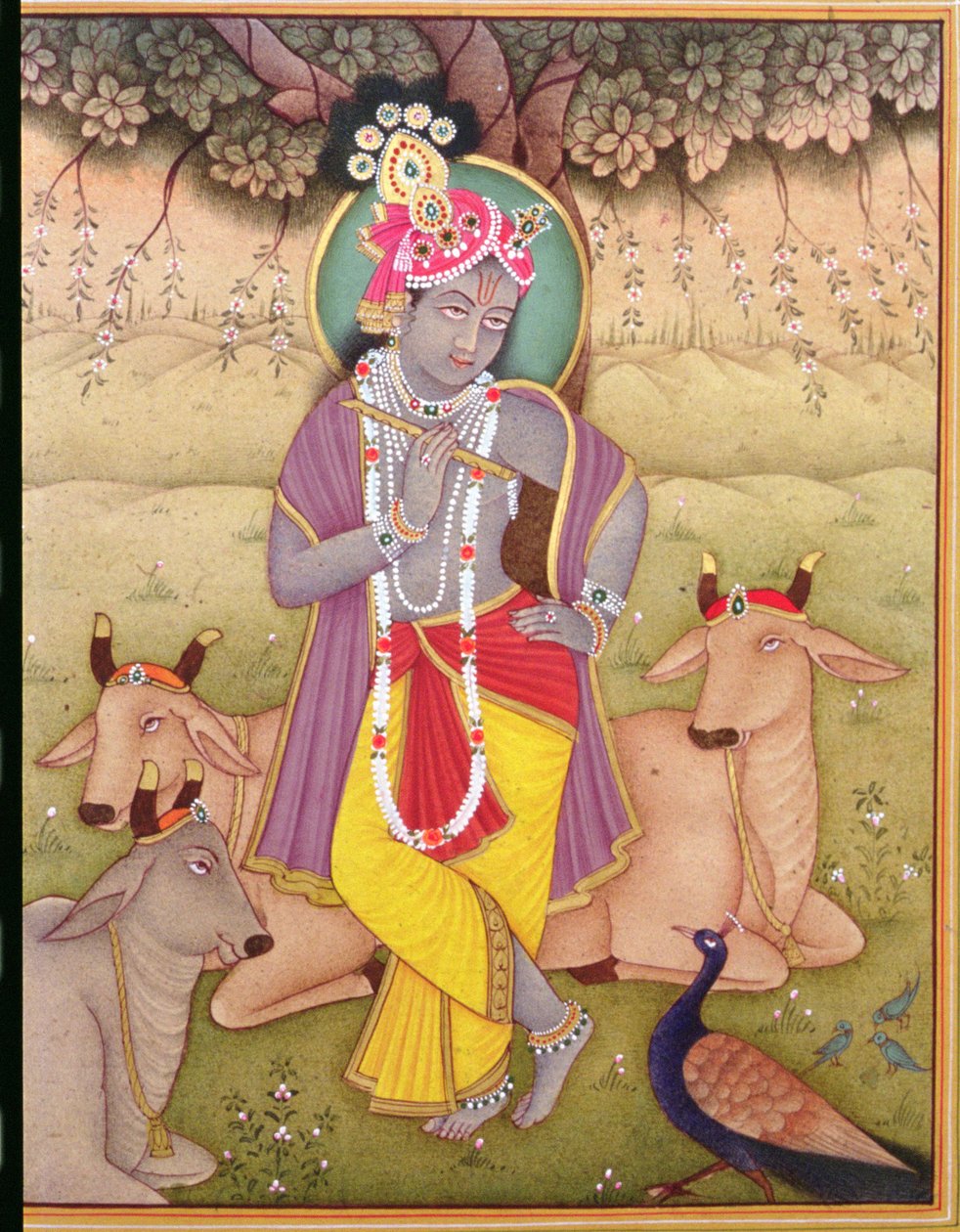 Shri Krishna (miniatura) (gwasz i akwarela na papierze) autorstwa School Indian