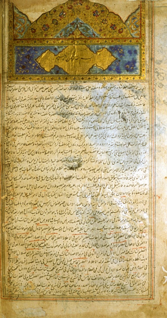 Strona z Kanonu medycyny (al-Qānūn fī aṭ-Ṭibb) autorstwa Awicenny autorstwa School Iranian