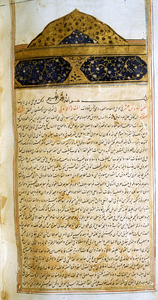 Strona z Kanonu medycyny (al-Qānūn fī aṭ-Ṭibb) autorstwa Awicenny autorstwa School Iranian
