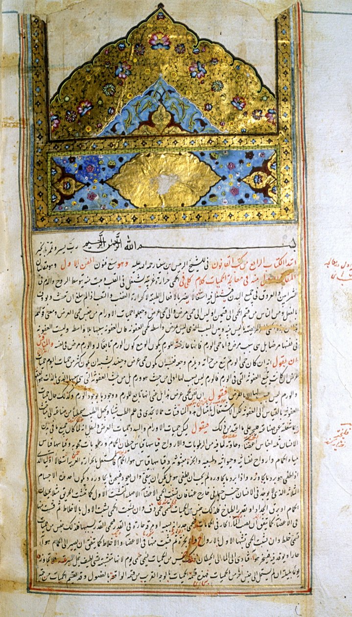 Strona z Kanonu medycyny (al-Qānūn fī aṭ-Ṭibb) autorstwa Awicenny autorstwa School Iranian