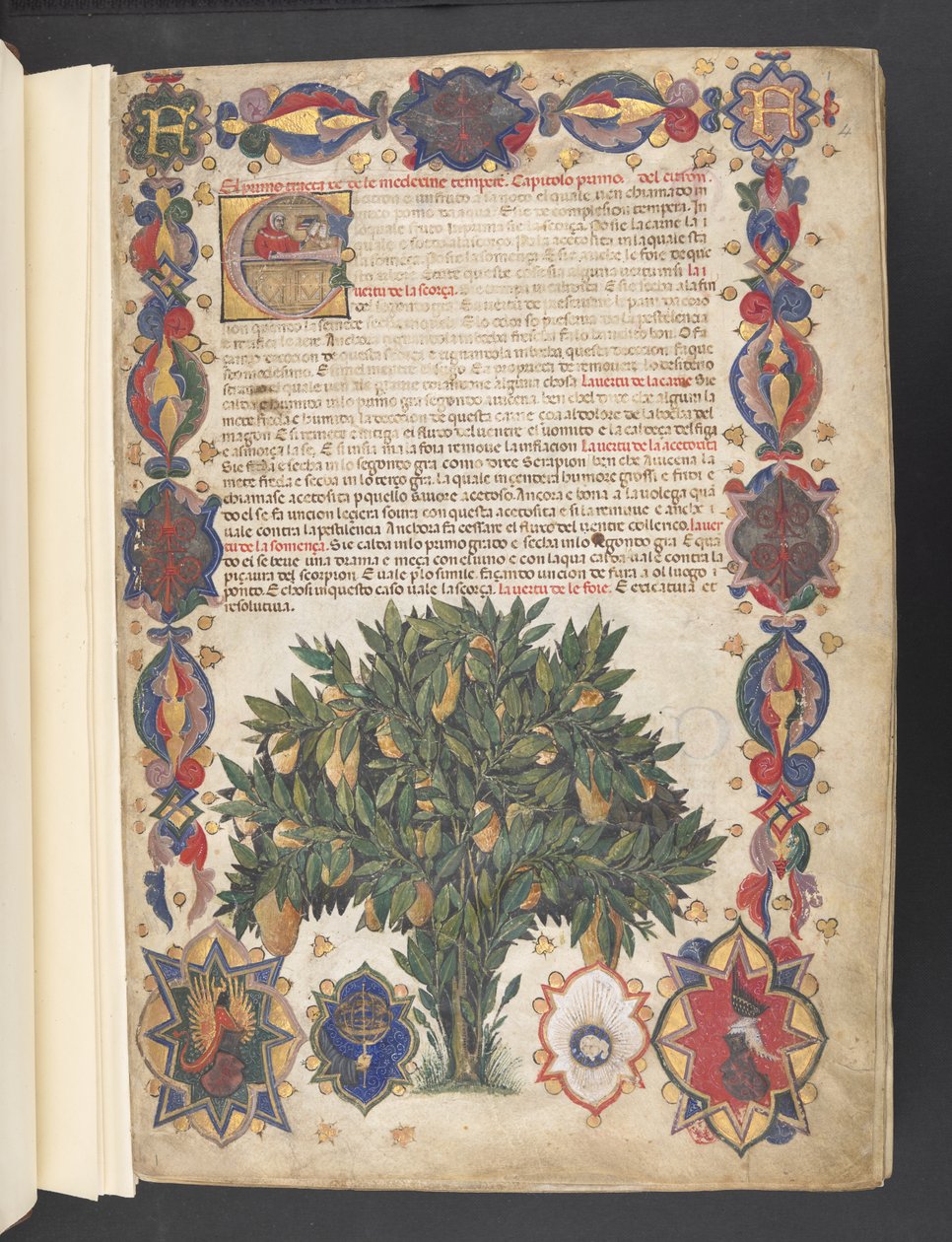 Egerton 2020 f.4r Pełna bordiura z dekoracją heraldyczną i historycznym inicjałem 