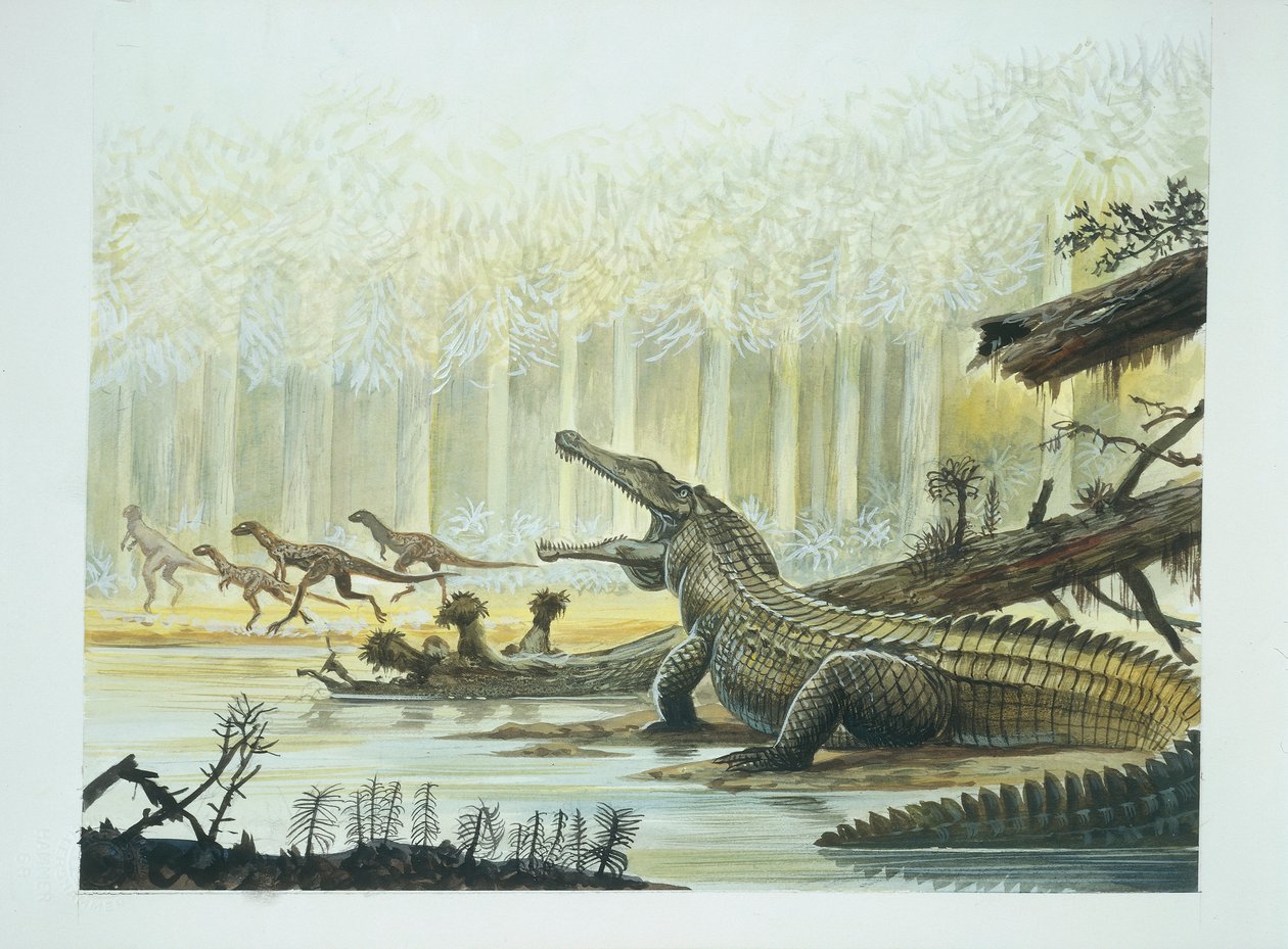 Rutiodon z Fabrozaurem w tle, trias (kolor lito) autorstwa School Italian