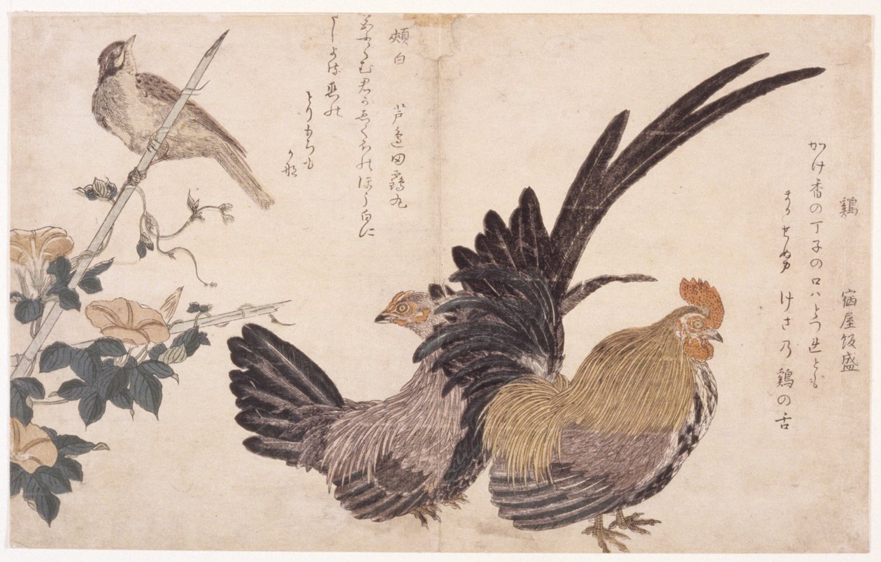 Kogut, Kura I Ptak autorstwa School Japanese