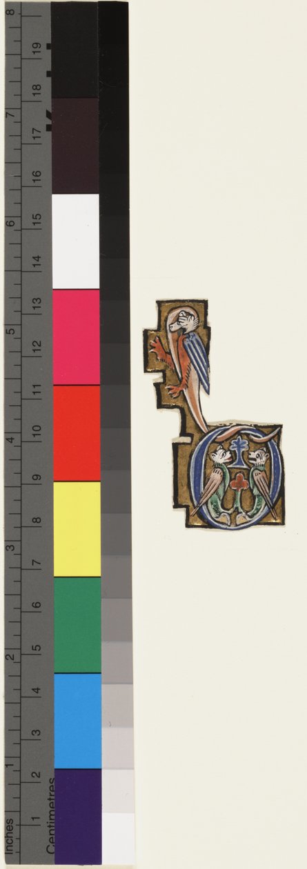 Inicjał D, z godziny psałterza, ok. 1270 (złoto i tempera na welinie) autorstwa School Mosan