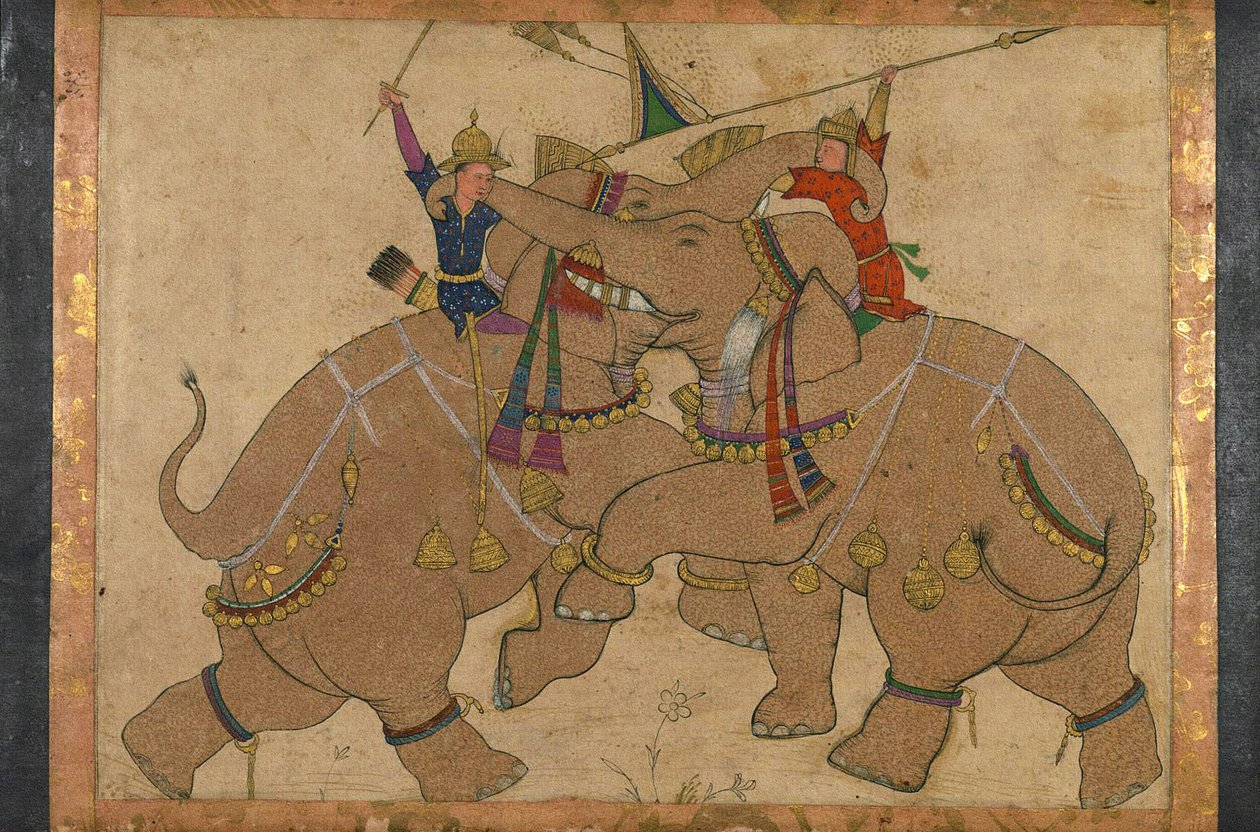 Elephant Combat (tusz, pigmenty na papierze naklejone na karton) autorstwa School Mughal