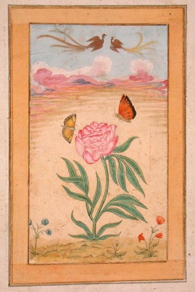Kwitnące rośliny z rajskimi ptakami i motylami, z Albumu Małego Clive (gwasz na pergaminie) autorstwa School Mughal