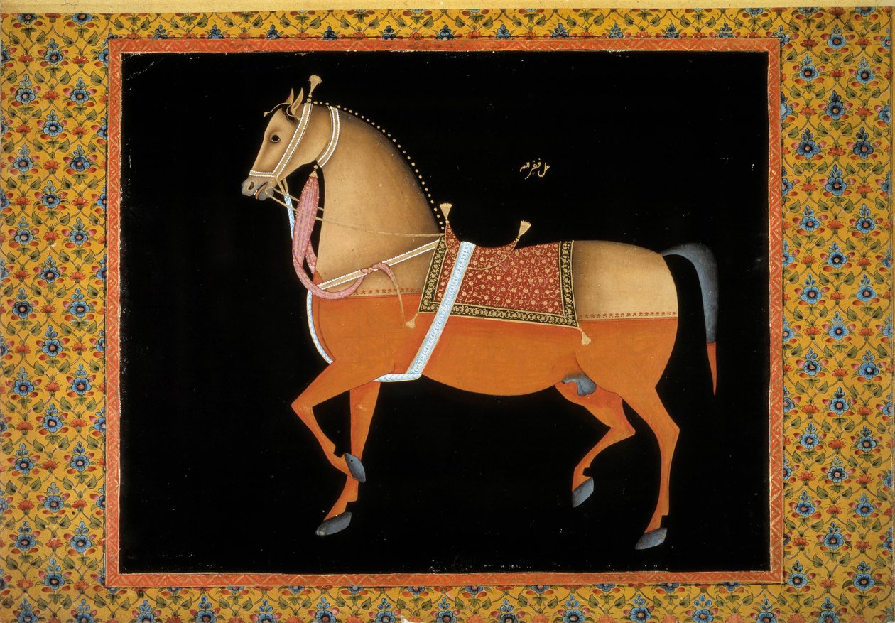 Sztuka Moghol: przedstawienie ogiera. Gwasz z XVIII wieku. Paryż, B.N. autorstwa School Mughal