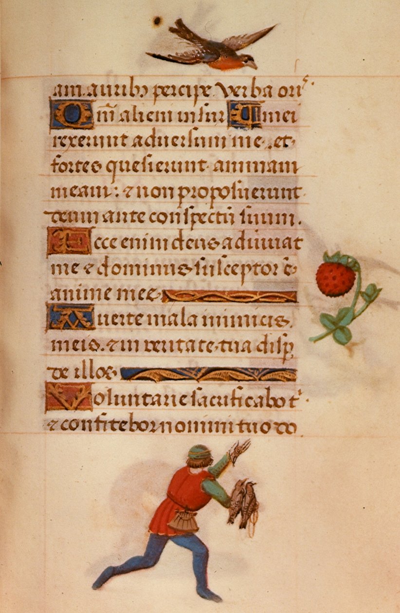 F.235 Człowiek z jastrzębiami, z „Godzin Joanny Kastylii” autorstwa School Netherlandish