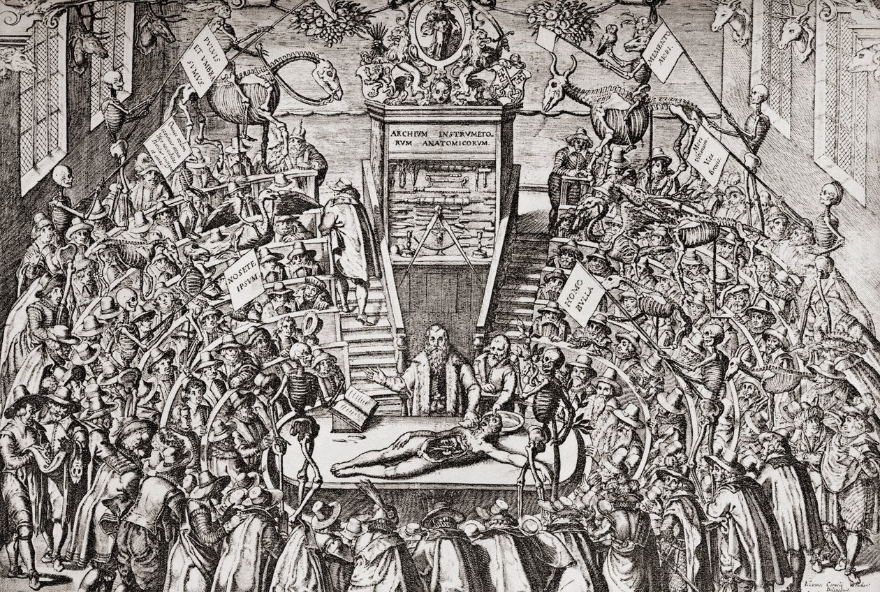 Studenci uczęszczający na zajęcia z anatomii na Uniwersytecie w Lejdzie, z "Geschiedenis van Nederland", wyd. 1936 (druk) autorstwa School Netherlandish