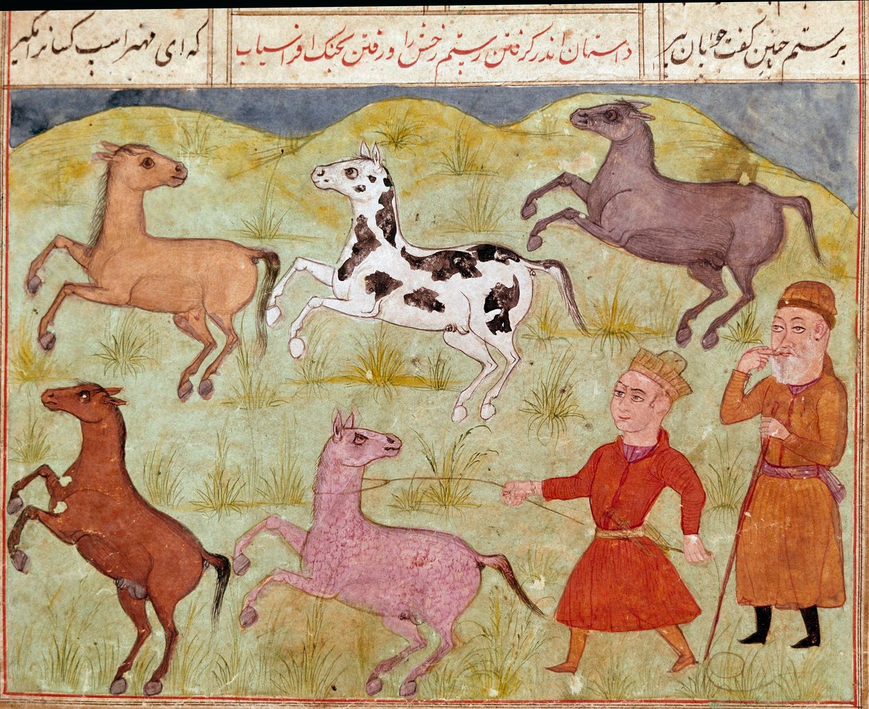 Sztuka islamu: Pan i jego chłopczyk chwytają dzikie konie na lasso. Perska miniatura z rękopisu epickiego poematu „Szahname” (Shah Nama, Shahnama) (Księga Królów) Ferdowsiego (Firdawsi lub Ferdawsi lub Firdousi, ok. 940–ok. 1020) Biblioteca Nazi autorstwa School Persian