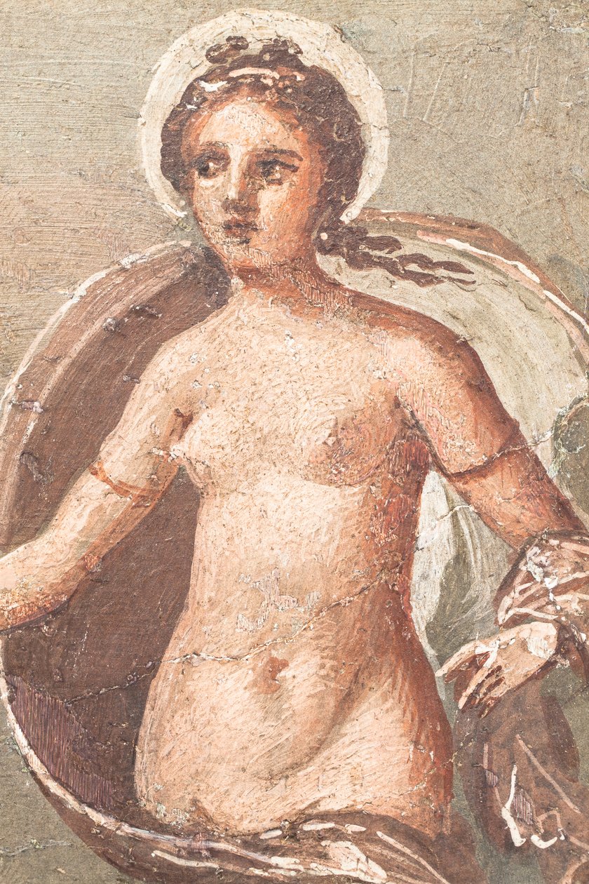  autorstwa School Roman