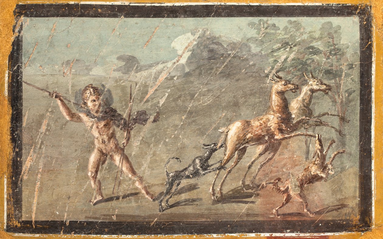  autorstwa School Roman
