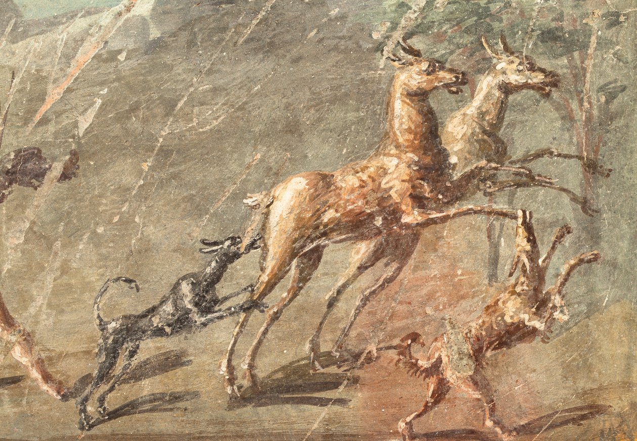  autorstwa School Roman