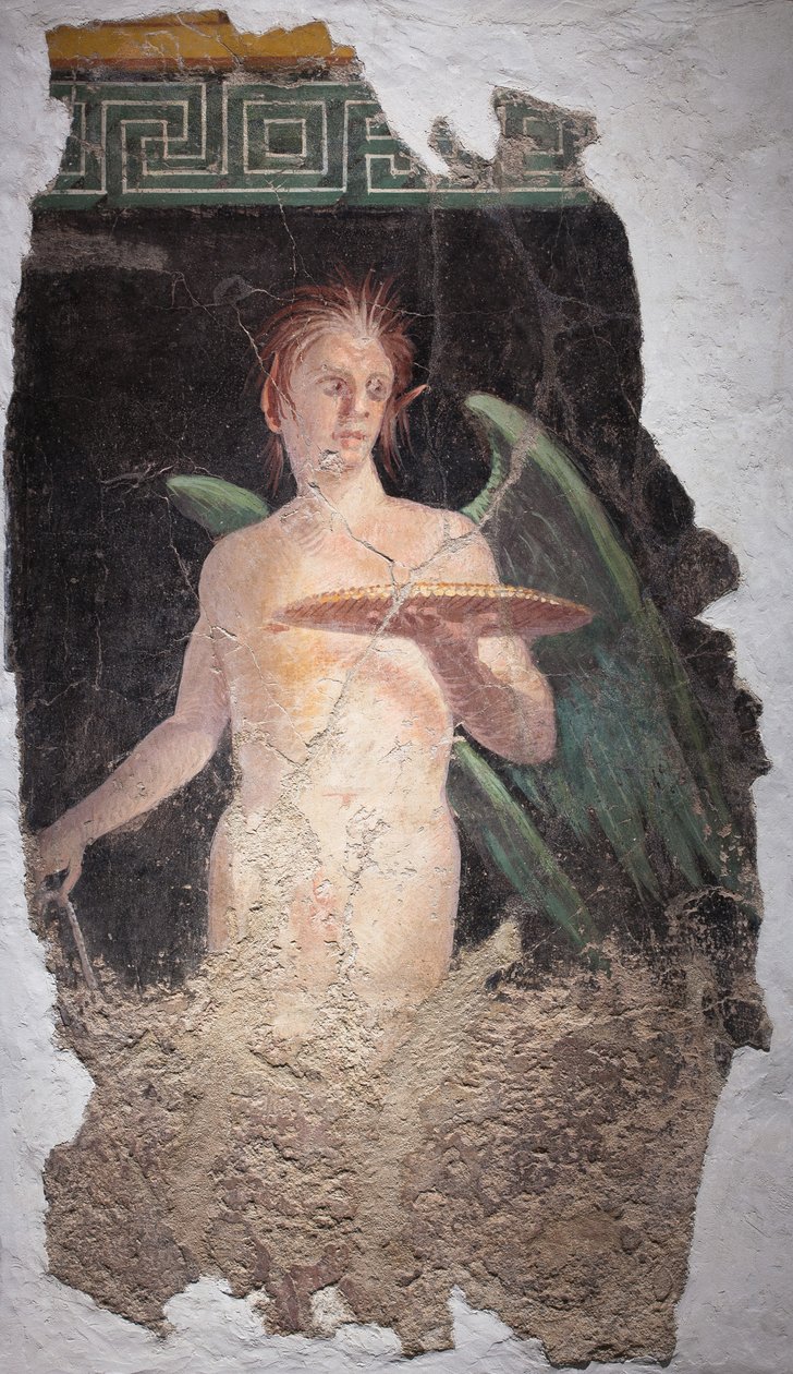  autorstwa School Roman