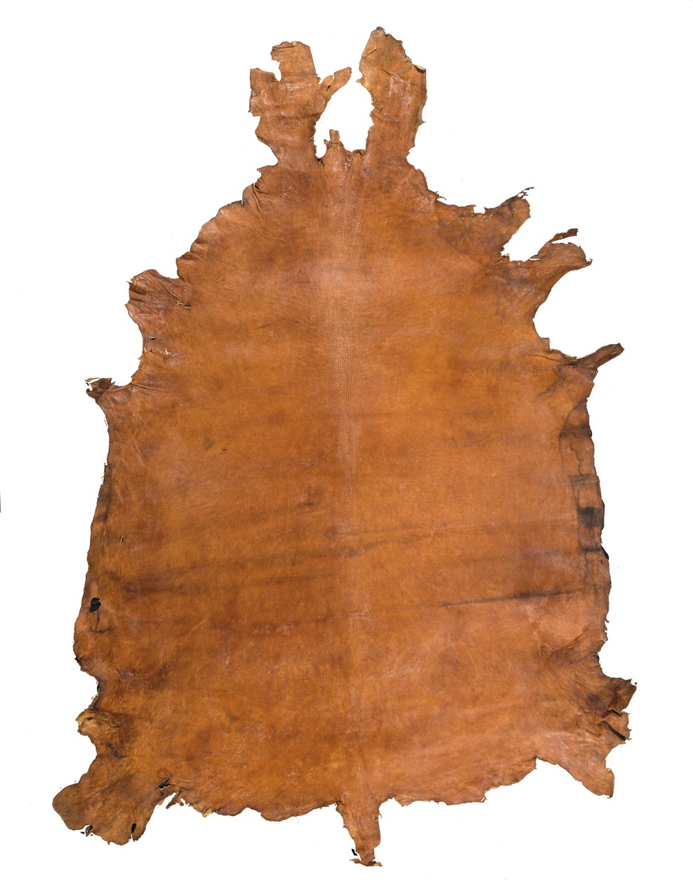 Skóra zwierzęca, ok. 1786 (skóra) autorstwa School Russian