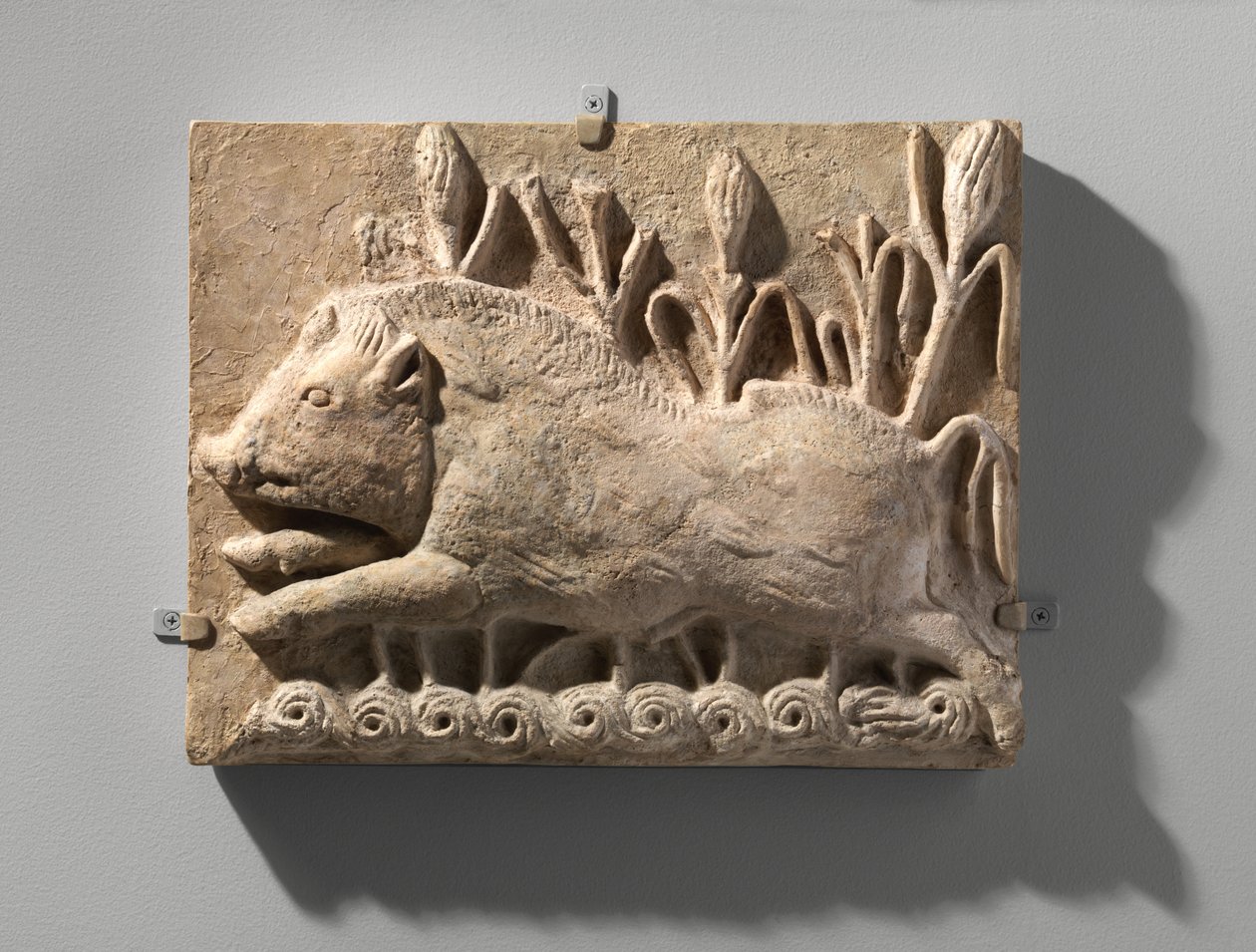 Panel ścienny z dzikiem ładującym, ok. VI wne (stiuk) autorstwa School Sasanian